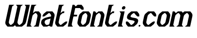 The Cosmic Heart Italic