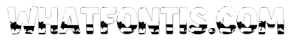 Beach Font