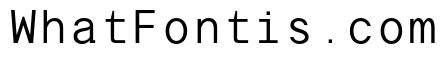 TRT Terminal Mono Light