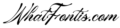 Tanya Kata Italic