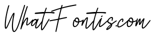 Tamera Signature Italic