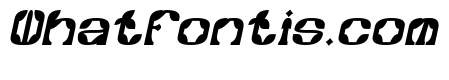 Synthetic Flora Bold Italic