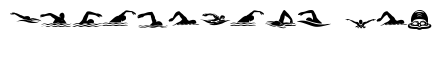 Swimming Silhouettes