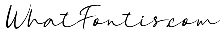 Sunday Holly Italic