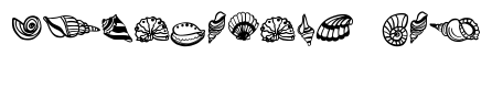Summer seashell