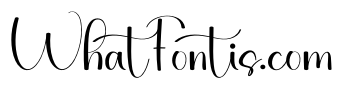 Stylish Catalish