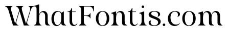 Stylish Average Regular