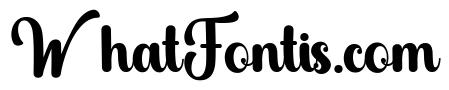 Stylish Alphabet Regular