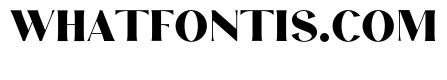 Story Type Black Headline