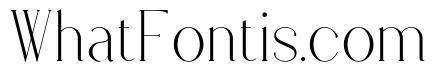 Stolen Love Serif