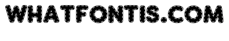 Stitch Simple Regular