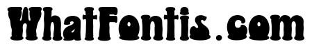 STAY DHUNKY Regular