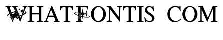 Star Orbit