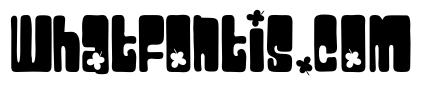 PN Platonic Patty