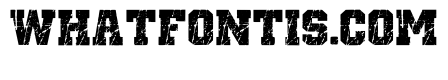 Sports Varsity Regular