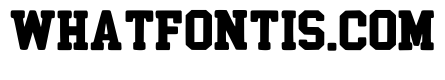 Sports Baseball Regular