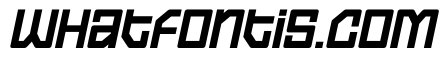Sport Future Italic