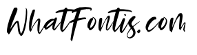 Splash Tropical Italic