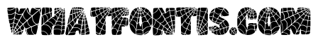 Spiderweb Bold By Squee Regular