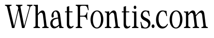 Special Handmade Serif Regular