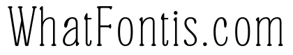 Softique Thin