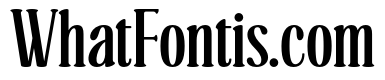 Softique Bold