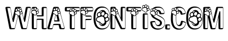 Simple Dog Regular