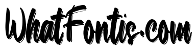 Simple Brushted Regular