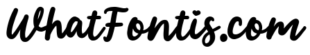 PG Simple Brush