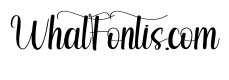 Signature Daily