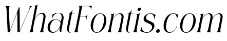 Shine Heels Italic
