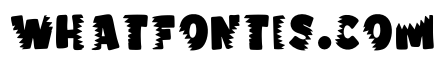 Shark Teeth