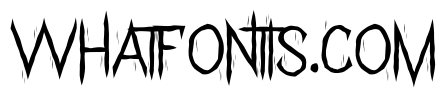 Shadow Attack