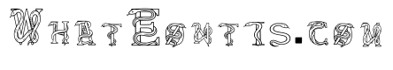 Serpentine Monogram Regular