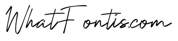 Selovira Signature Italic
