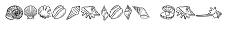 Seashell Line Set