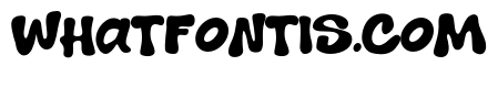 Sarko Brush Regular