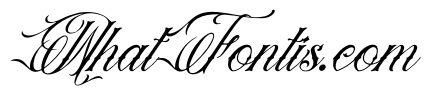 Royal Veins Italic