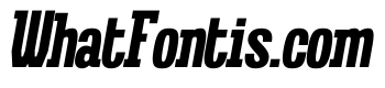 Royal Orbit Italic