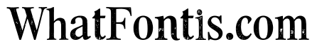 Rough Elegant Serif