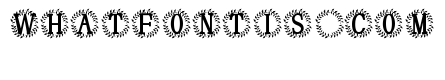 Rosenthal Monogram