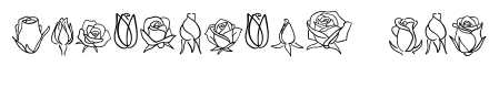 Rose mom