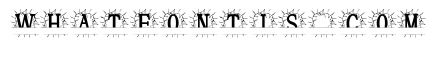Rosalith Split Monogram