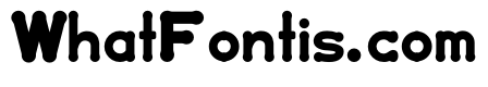 Rondex Bold Bold