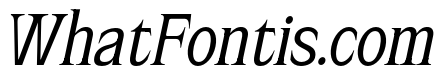 Rolynx Italic