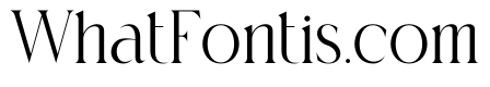 Rokina
