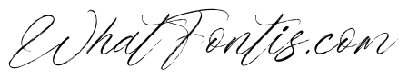 Roast Ritual Italic