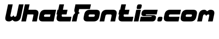 Recorded Intelligence Italic