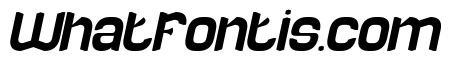 RECORD MOMENT Italic