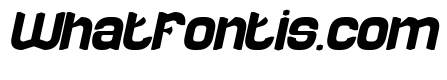 RECORD MOMENT Bold Italic